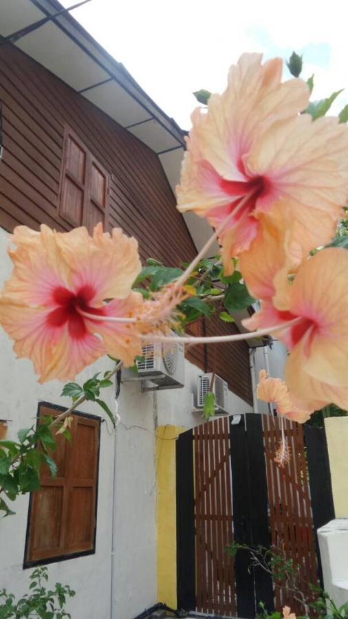 Experience Island Heritage Home ปันไตก็อก ภายนอก รูปภาพ